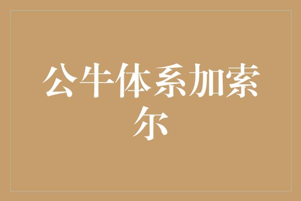 公牛体系加索尔