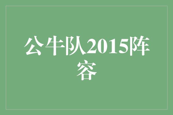 公牛队！重返巅峰！回顾公牛队2015年的豪华阵容