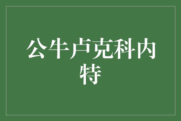 公牛卢克科内特