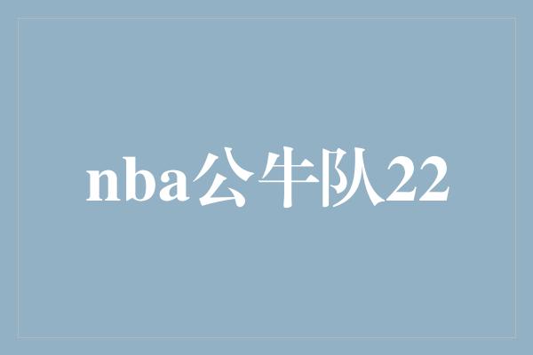 公牛队！NBA公牛队 传奇的22号