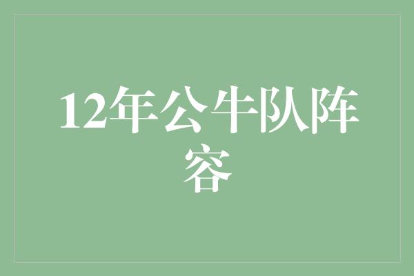 12年公牛队阵容