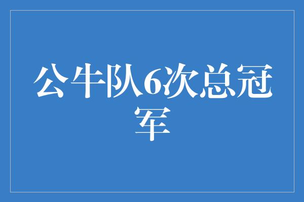 公牛队6次总冠军