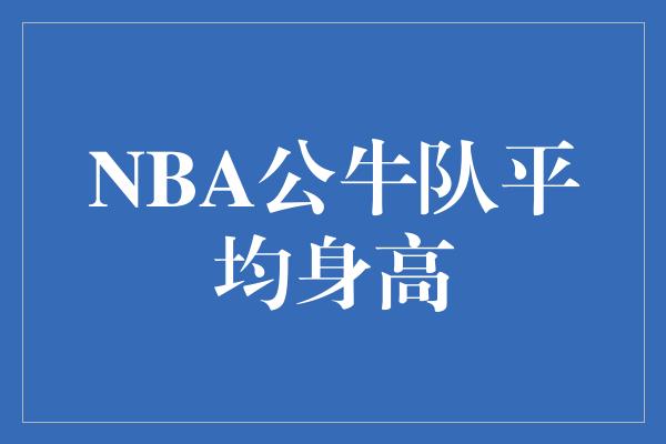 NBA公牛队平均身高