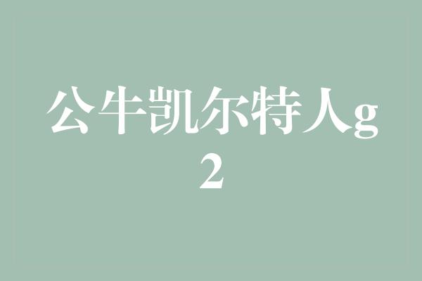 公牛凯尔特人g2