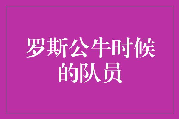 罗斯公牛时候的队员