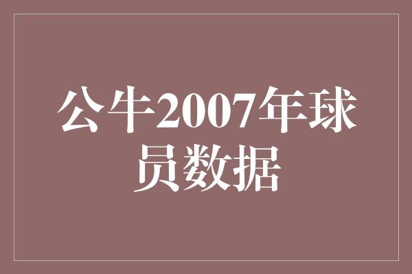 公牛队！纪念公牛2007年辉煌时刻 球员数据回顾