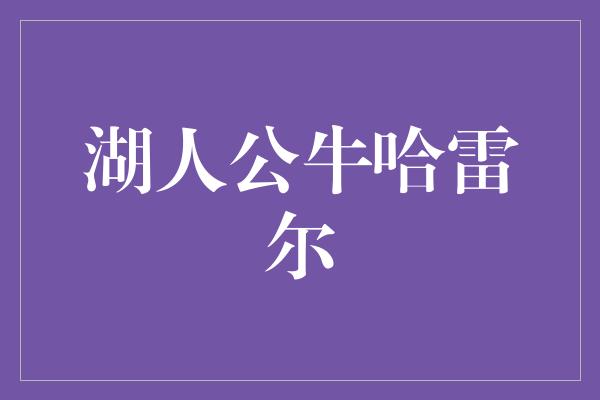 公牛队！湖人公牛哈雷尔 无限可能的合作之旅