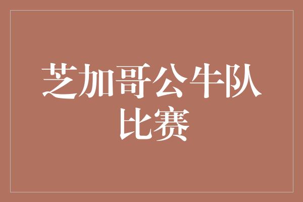 芝加哥公牛队比赛