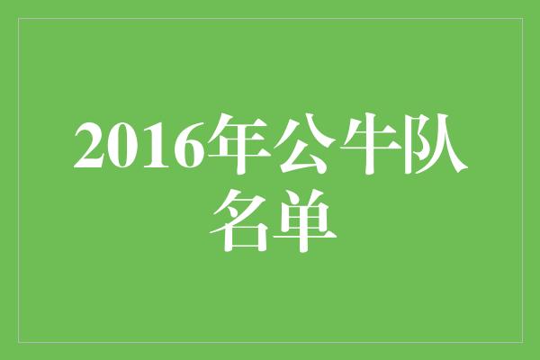 2016年公牛队名单