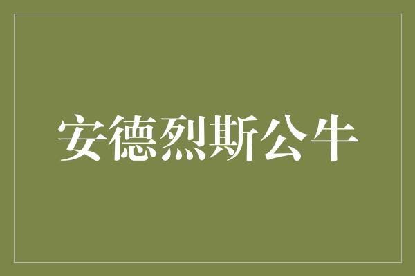 安德烈斯公牛