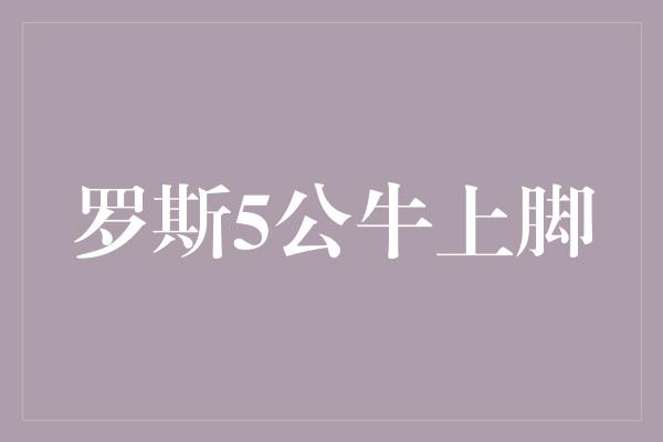 罗斯5公牛上脚