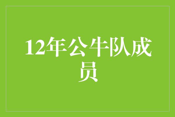 12年公牛队成员