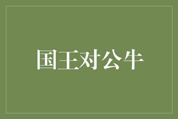 国王对公牛