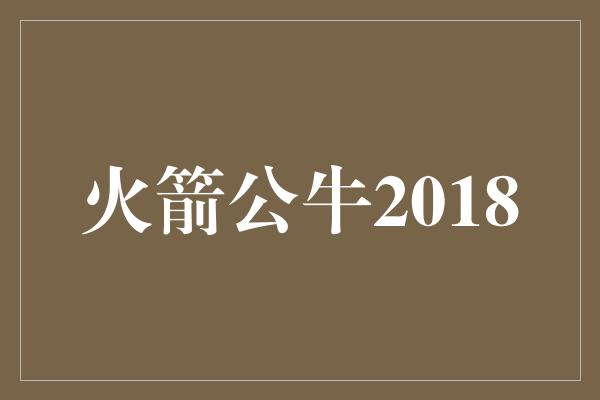 火箭公牛2018