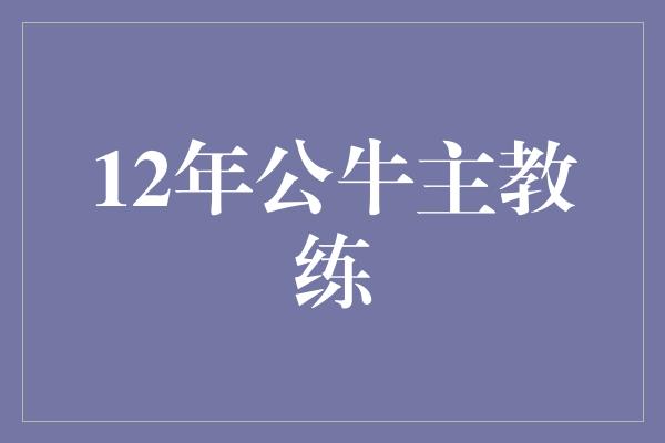 12年公牛主教练