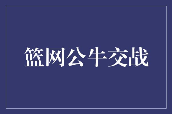 公牛队！篮网与公牛的激烈对决 篮坛巅峰之战