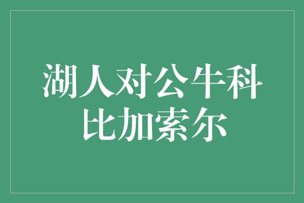 湖人对公牛科比加索尔