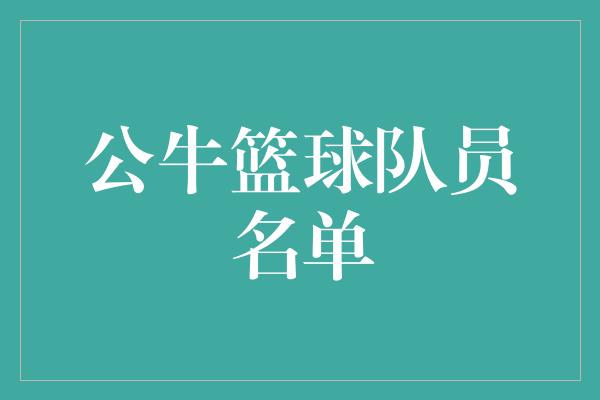 公牛队！公牛篮球队员名单 激情与实力的完美结合