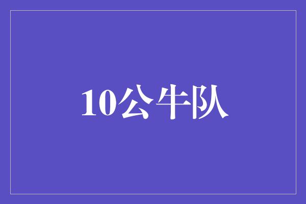 10公牛队