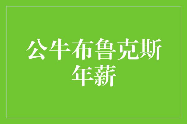 公牛布鲁克斯年薪