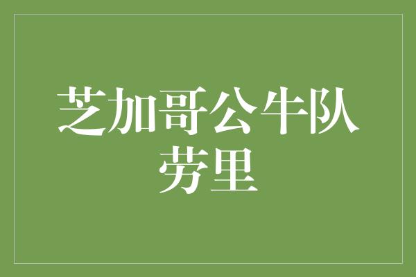 芝加哥公牛队劳里