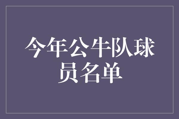 今年公牛队球员名单