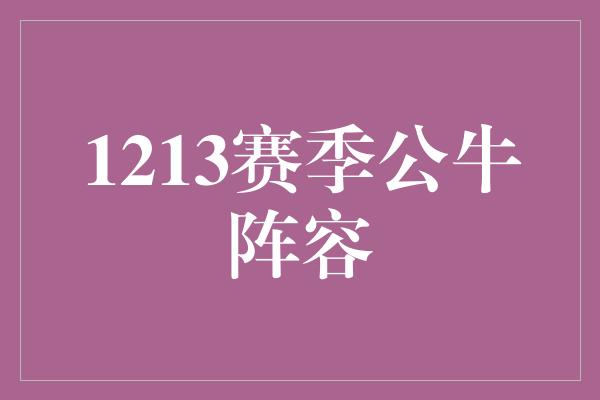 1213赛季公牛阵容